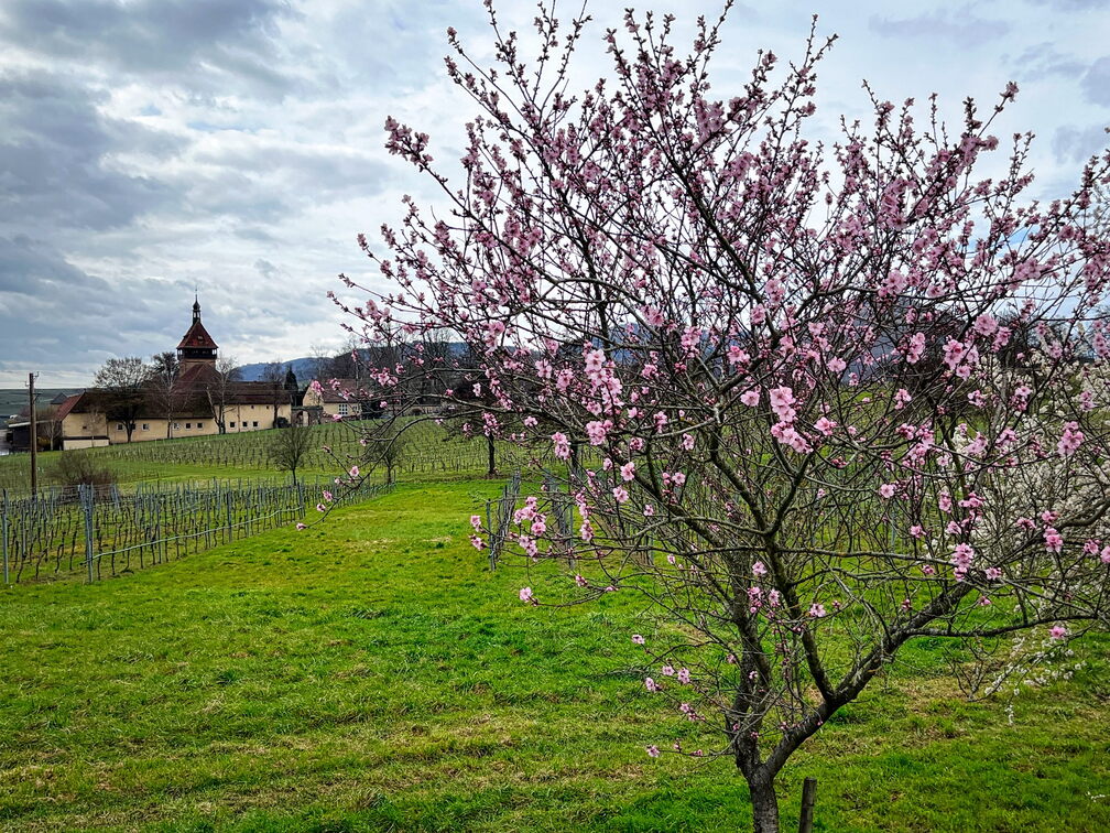 23-03-13 10-51-51 4829